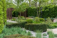 A contemporary garden with geometric yew topiary, columnar Cypress oaks and lavender arranged amongst gravel.