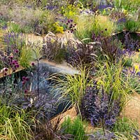 A gravel garden divided in squares of black water, and planted with agapanthus, red fountain grass, drumstick allium, lavender, salvia, euphorbia, santolina and sedum. A steam machine blurrs the reflections on the still pool.