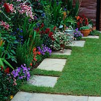 Individual paving slabs are inset into lawn, breaking up straight line edge, and bordered with dahlia, gladioli, campanula, gazania, busy lizzie and snapdragon.