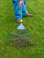 Lawncare. Lawns become clogged up with dead grass, thatch and moss - scrape out with a rake