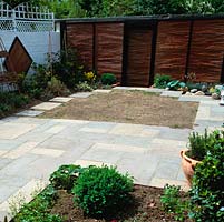 Newly created garden - after 4 weeks. A small newly seeded lawn is enclosed in paving. Beds are planted with immature shrubs - sunflower, dahlia, lily, verbena and gladioli for quick colour.