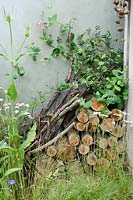 Log pile for wildlife, Hedgehog Street, RHS Hampton Court Palace Flower Show 2014 - Design: Tracy Foster - Sponsor: People's Trust for Endagered Species, British Hedgehog Preservation Society