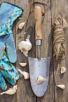 Display of tools and garlic ready to be planted.