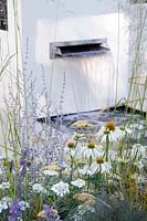 Border with Echinacea 'White Swan', Achillea 'Walther Funcke', Carex testacea, Perovskia and Orlaya grandiflora, Al Fresco, RHS Hampton Court Palace Flower Show 2014 