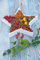 A floral arrangement containing a variety of Rose hips placed inside a white star, accompanied with Rose foliage