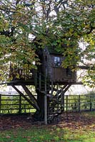 Tree house in Aesculus hippocastanum - Horse Chestnut