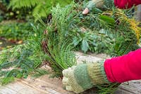 Mixed Evergreen Wreath. Adding Sequoiadendron giganteum foliage to Grapevine wreath