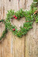 Mixed evergreen hearts hanging on a wooden door. Taxus baccata