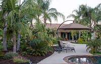 Tropical planting with Archontophoenix cunninghamiana, Cycas revoluta, Syagrus romanzoffiana, Phoenix roebelenii 