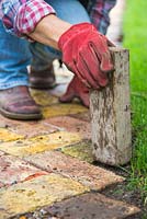 Using a square piece of wood to compress soil in the gaps.