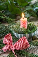 Candle table decoration with Picea pungens 'Hoopsii', Juniper and Larch cones.
