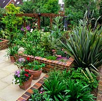 21-metre-deep rear garden with paved terrace edged in raised beds of cardoon, phormium, agapanthus, geranium and palm. Pergola leads to lawn.