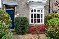 Front garden with neatly trimmed evergreen and deciduous shrubs.