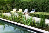 Natural swimming pool with deckchairs by buxus hedging.