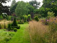 Long grass path crosses the main borders planted with Verbena bonariensis, Echinacea purpurea, Deschampsia cespitosa Goldtau, Calamagrostis x acutiflora Karl Foerster, Persicaria amplexicaulis Firetail, Eupatorium purpureum. Yew cones in box hedging.