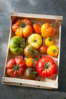 Heirloom tomatoes in a wooden box at Worton Organic Farm Shop. Tomato 'Gold Medal', 'Orange Banana', 'Black Sea Man', 'Stupice', 'Orange Russian', 'Believe It or Not', 'Wapsipinicon', 'White Queen', 'Aunt Ruby's German Green', 'Nyagous', 'Caro Rich', 'Brandywine', 'Sudduth's Strain', 'Jaune Flamme'