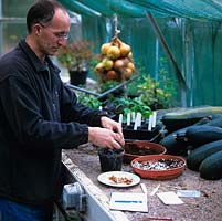 Stephen Lloyd, head gardener, in his greenhouse where he has propagated many rare plants from seed collected in the wild. Here he pours compost into pot, seeds ready on plate.