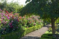 The dahlia border at Rousham House Garden