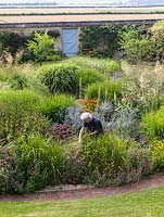 Gillian Pugh in her circular dry garden where plants thrive with no watering.