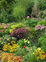 Hot bed with Sedum 'Purple Emperor', Sedum 'spectabile', dahlia, Miscanthus sinensis Zebrinus, rudbeckia, mallow, sweet peas.