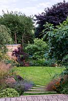 View from a wooden deck down a terraced split level garden. Planting includes Ficus carica Brown turkey, Dechampsia Bronzeschlier, Echinacea, Crocosmia Solfaterre, Nepeta racemosa Walker's Low and Foeniculum vulgare. Beyond the oval shaped lawn Cercis canadensis Forest Pansy and Cercis siliquastrum.