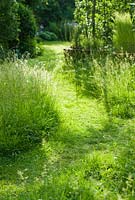 Sunlit winding mown grass path through long grass. June.