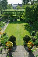 Formal town garden in spring with box topiary, pleached field maples and pots of wallflowers. 