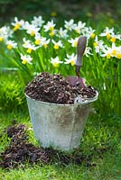 Bucket holding home made garden compost