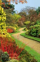 Winter garden - Cambridge Botanic Gardens 