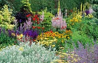 Mixed border with Salvia sclarea var turkestanica, helenium, Lychnis chalcedonica, helenium, nepeta, verbascum.