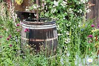 Oak barrel water butt - The Fetzer Sustainable Winery Garden, RHS Chelsea Flower Show 2007
