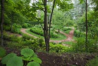 Petasites japonicus - Butterbur and view of flower beds and cedar mulch paths through silhouetted deciduous tree trunks in front yard country garden in summer, Quebec, Canada