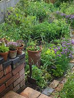 Strawberries in chimney pot. Lettuce in pots by steps. Alys Fowler's 18m x 6m, organic garden. Productive and pretty, a mix of fruit, herbs, flowers and vegetables thrive. 