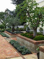 Raised beds old olive edged in ornamental grasses, and mature fig tree edged in hebe. Bed of lavender by path. Reclaimed stone and brick paths.