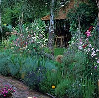 Kitchen garden with lavender, sweet peas scrambling up willow frames and vegetables. Beyond, timber framed barn with antique garden and agricultural tools.