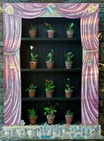 Victorian style Auricula theatre