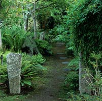 Shady fernery with mossy, stepping stones leading past ferns, bamboos and trees to Gunnera manicata. Old granite gate posts mark entrance.