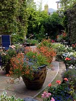 A rear garden with large patio decorated with annual containers. Plants include Lobelia, Diascia and Pelargoniums.