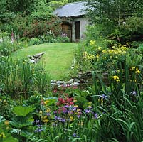 Pond edged in candelabra primulas, iris - flag and Sibirica - rheum and foxgloves is shaded by silver birch. Up grassy hill, Rose Redcoat against stone wall, veiling old oak gate.