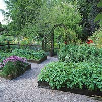 Vegetable garden fenced to keep out rabbits. Raised beds.