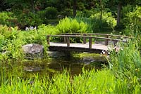 Brown wooden footbridge over pond with Pontederia cordata - Pickerel Weed and Typha latifolia - Common Cattails in backyard country garden in summer, Quebec, Canada