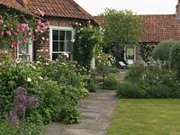 Sunny terrace edged in beds of allium, eryngium, hardy geranium, campanula, poppy and Rosa 'Sally Holmes'. On wall, pink Rosa Mdme 'Gregoire Staechelin'.