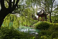 Silhouetted Salix - Weeping Willow Tree with the Pavilion of Infinite Pleasantness on the edge of the Lotus pond in the Chinese Garden in late spring, Montreal Botanical Garden, Quebec, Canada
