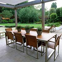 From shaded eating area, lovely vista  unfolds of Japanese maples, birches, pittosporum and old apple tree