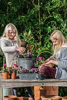 On a wooden deck edged in bamboo, two girls plant up a winter container with red cyclamen, purple ornamental cabbages, annual violas and Skimmia japonica 'Rubella'.