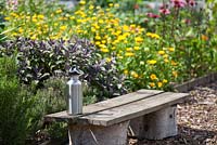 A rustic wooden bench with water flask and colourful plants in an allotment