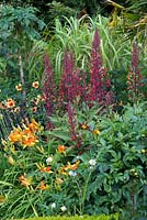 Border planted with Lobelia tupa, orange Hemerocallis 'Frans Hals' and Dahlias 'Honka' and 'Moonfire'. The Exotic Garden at Abbeywood. 