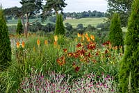 Twin herbaceous borders planted with perennials Kniphofia 'Tawny King', Hemerocallis 'Stafford', Sedum 'Autumn Joy' and Phlox 'Uspekh', planted around repeated Cupressus sempervirens - confiers. Pink annual Lychnis coronaria at front.