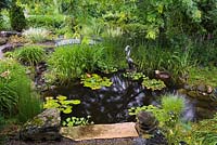Gleditsia triacanthos 'Sunburst' - Honeylocust tree over pond with Eichhornia crassipes  Water Hyacinth, Nymphaea - Water Lily, Papyrus - Ornamental Grass also known as Cyperus - Egyptian Paper Rush, Iris ensata ' Japanese Iris' plants in backyard country garden in summer, Quebec, Canada