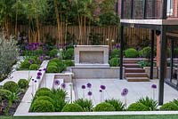 Town garden designed by Kate Gould. Box balls interplanted with purple and white allium. Sunken terrace has open fire place. On far boundary fence, hostas rest beneath tall golden bamboo.